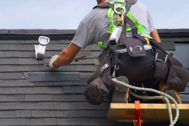 Best Roof Repair Services  in Steger, IL