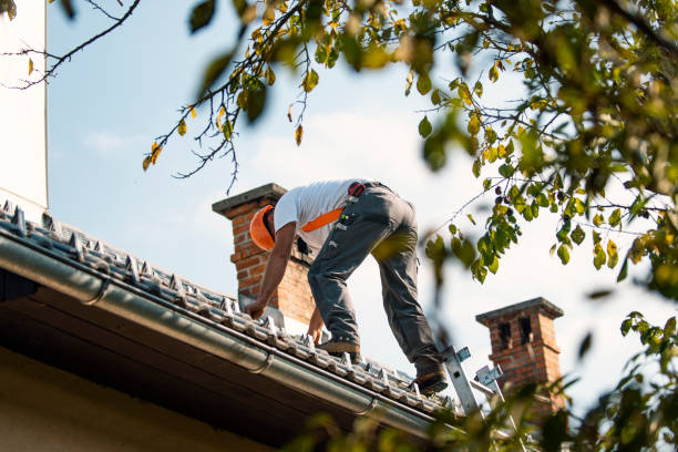 Sealant for Roof in Steger, IL