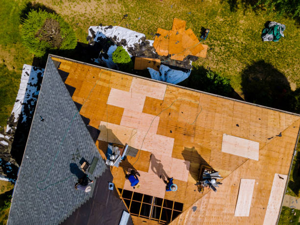 Best Metal Roofing Contractor  in Steger, IL