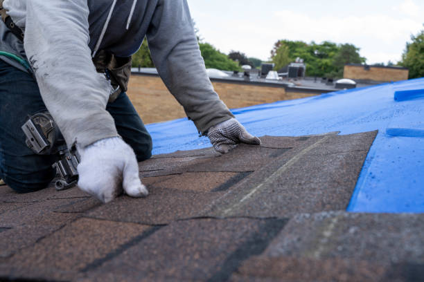 Best Residential Roofing Contractor  in Steger, IL