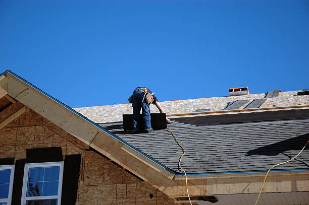 Best Roof Maintenance Services  in Steger, IL