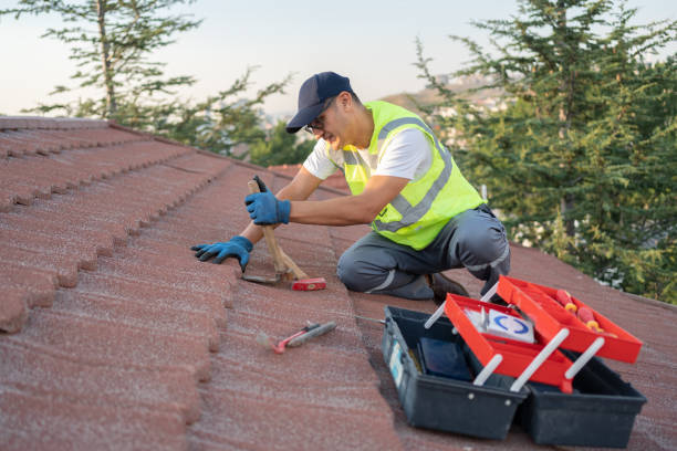 Best Roof Repair Services  in Steger, IL